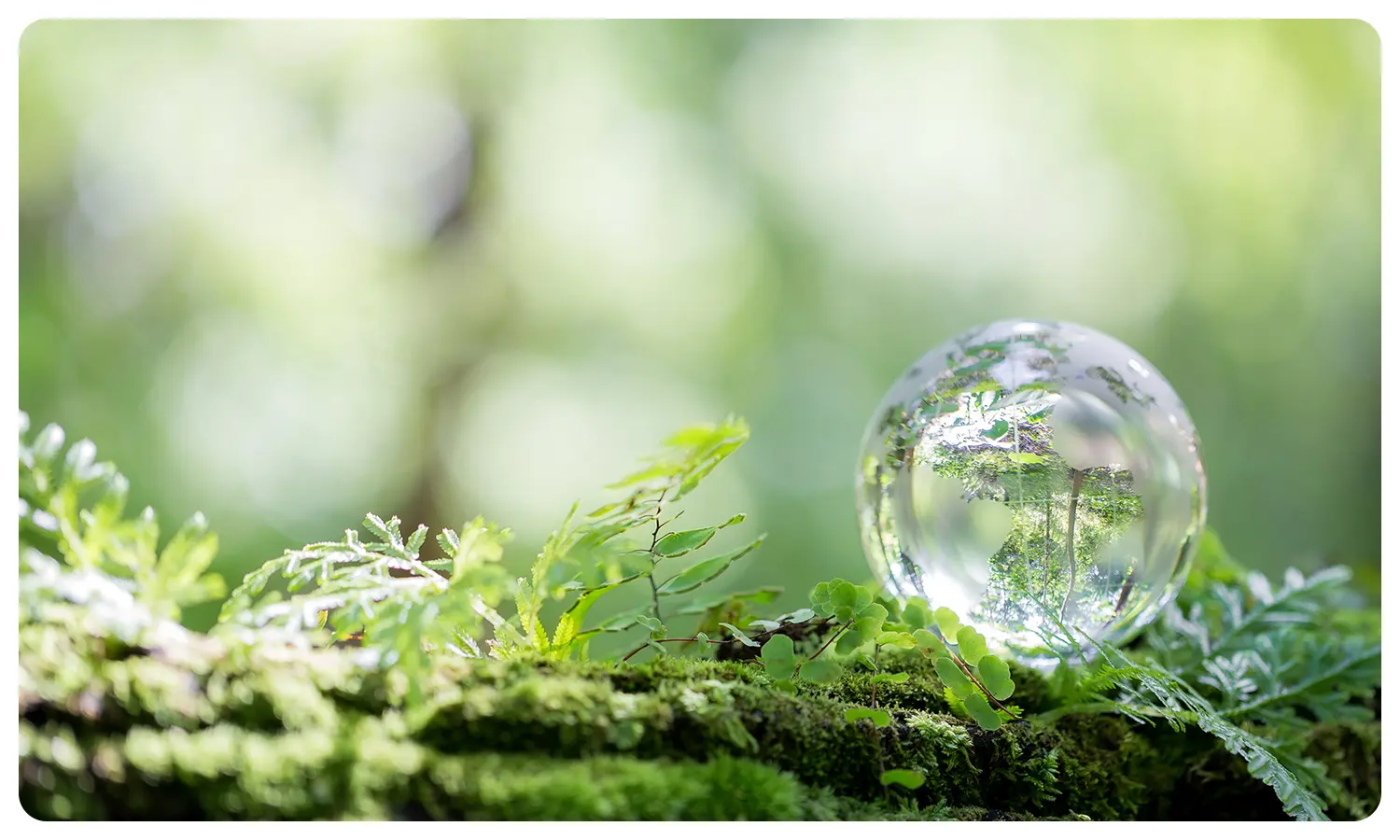 環境に優しいイメージ